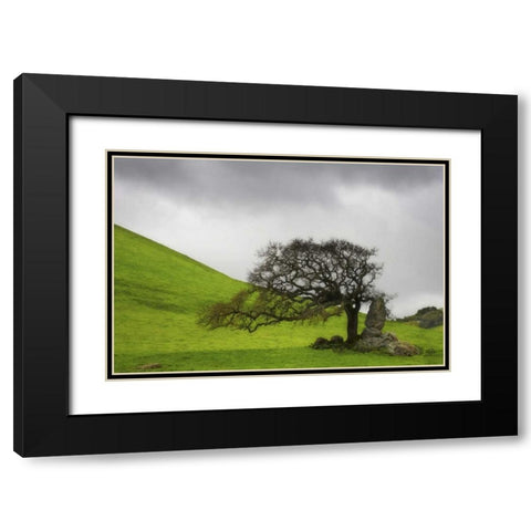 California An oak stands alone under clouds Black Modern Wood Framed Art Print with Double Matting by Paulson, Don