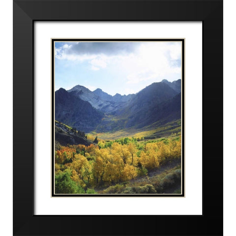 CA, Sierra NevadaÂ Autumn on trees in valley Black Modern Wood Framed Art Print with Double Matting by Talbot Frank, Christopher