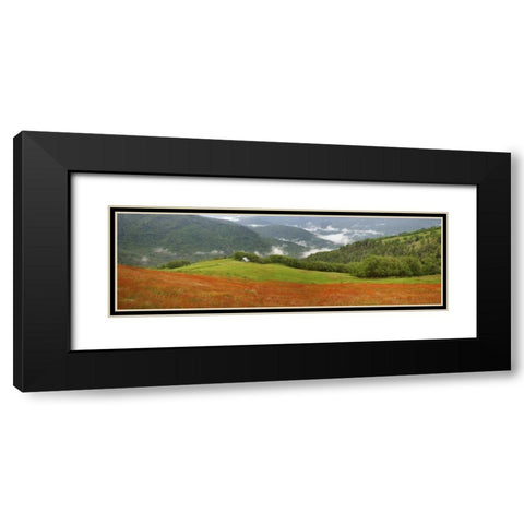 CA, Redwoods Mountain scenic with old barn Black Modern Wood Framed Art Print with Double Matting by Paulson, Don