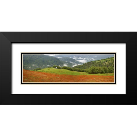 CA, Redwoods Mountain scenic with old barn Black Modern Wood Framed Art Print with Double Matting by Paulson, Don