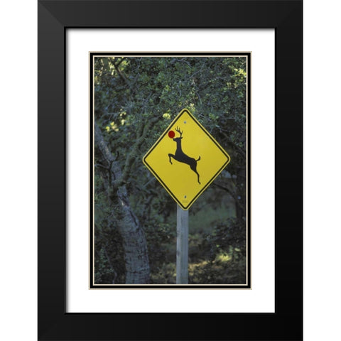 CA, Rudolph the reindeer crossing sign on Highway Black Modern Wood Framed Art Print with Double Matting by Grall, Don