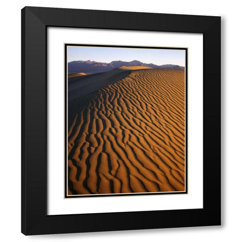 Patterns at Mesquite Sand dunes, Death Valley, CA Black Modern Wood Framed Art Print with Double Matting by Flaherty, Dennis