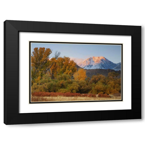 CA, Sierra Nevada, Owens Valley Basin Mountain Black Modern Wood Framed Art Print with Double Matting by Flaherty, Dennis