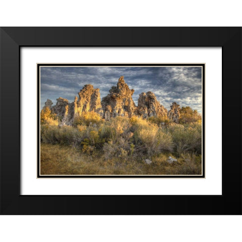 California, Mono Lake Sunrise on tufas and grass Black Modern Wood Framed Art Print with Double Matting by Carter, Jean