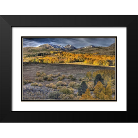 CA, Eastern Sierra Nevada from Conway Summit Black Modern Wood Framed Art Print with Double Matting by Carter, Jean