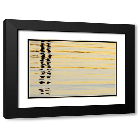 CA, San Diego Abstract reflections in the harbor Black Modern Wood Framed Art Print with Double Matting by Paulson, Don