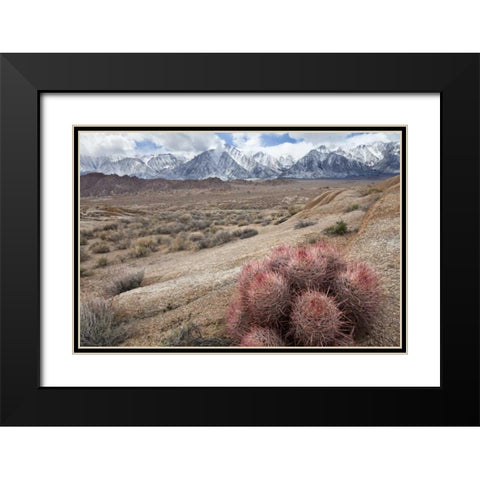 California, Lone Pine Alabama Hills and Sierras Black Modern Wood Framed Art Print with Double Matting by Paulson, Don