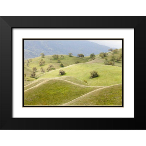 CA, Caliente Spring landscape Black Modern Wood Framed Art Print with Double Matting by Paulson, Don