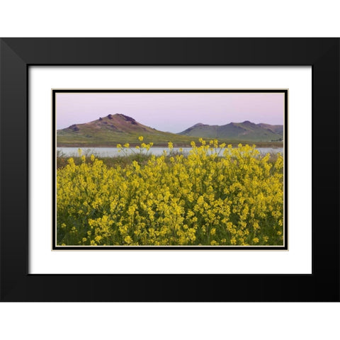 CA, Porterville Spring scenic with Lake Success Black Modern Wood Framed Art Print with Double Matting by Paulson, Don