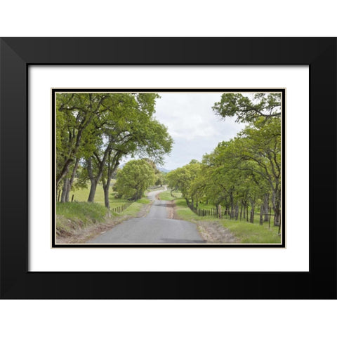 California, Chinese Camp Old Don Pedro Road Black Modern Wood Framed Art Print with Double Matting by Paulson, Don