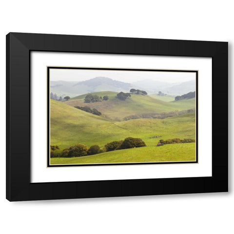 USA, California, Olema Landscape of farm fields Black Modern Wood Framed Art Print with Double Matting by Paulson, Don