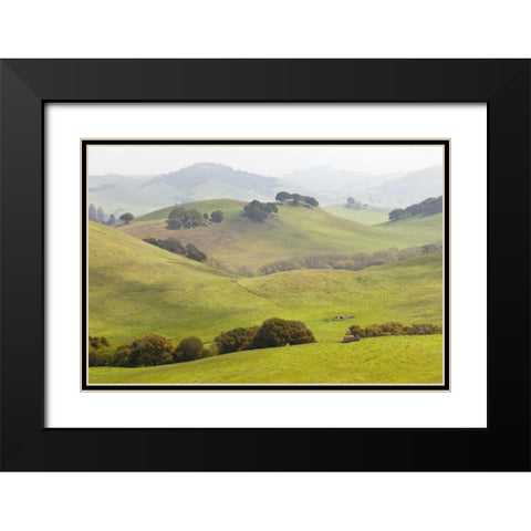 USA, California, Olema Landscape of farm fields Black Modern Wood Framed Art Print with Double Matting by Paulson, Don