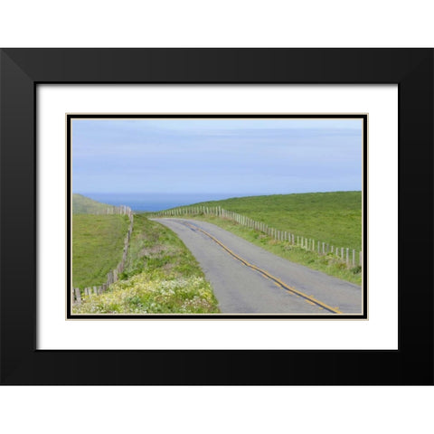 CA, Road through Point Reyes National Seashore Black Modern Wood Framed Art Print with Double Matting by Paulson, Don