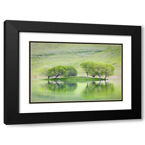 CA, Trees reflect in Black Butte Reservoir Black Modern Wood Framed Art Print with Double Matting by Paulson, Don