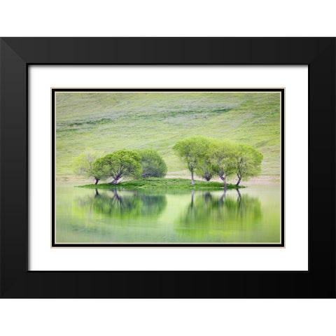 CA, Trees reflect in Black Butte Reservoir Black Modern Wood Framed Art Print with Double Matting by Paulson, Don
