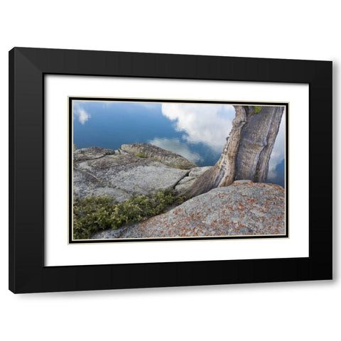 CA, Toiyabe NF Rocks and tree by Granite Lake Black Modern Wood Framed Art Print with Double Matting by Paulson, Don