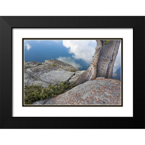 CA, Toiyabe NF Rocks and tree by Granite Lake Black Modern Wood Framed Art Print with Double Matting by Paulson, Don