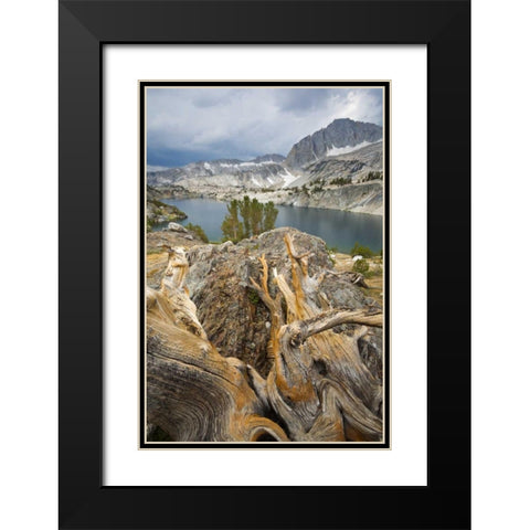 California, Inyo National Forest Steelhead Lake Black Modern Wood Framed Art Print with Double Matting by Paulson, Don