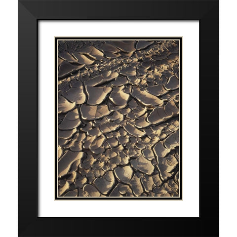 California, Anza-Borrego Patterns of Cracked Mud Black Modern Wood Framed Art Print with Double Matting by Talbot Frank, Christopher