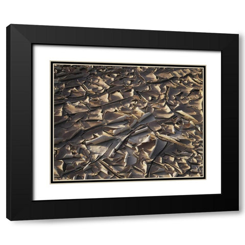 California, Anza-Borrego Patterns of Cracked Mud Black Modern Wood Framed Art Print with Double Matting by Talbot Frank, Christopher