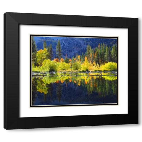 CA, A beaver pond in the Sierra Nevada in autumn Black Modern Wood Framed Art Print with Double Matting by Talbot Frank, Christopher