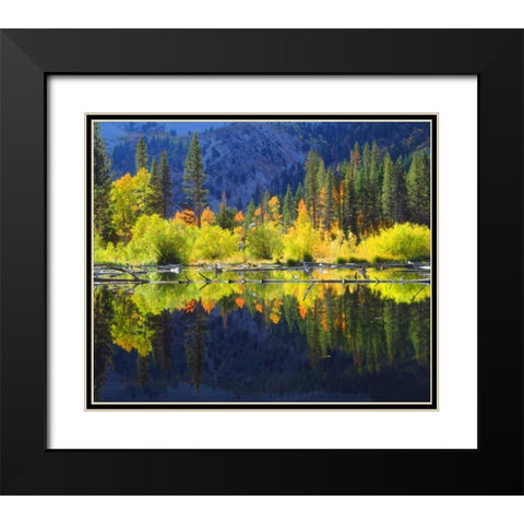 CA, A beaver pond in the Sierra Nevada in autumn Black Modern Wood Framed Art Print with Double Matting by Talbot Frank, Christopher