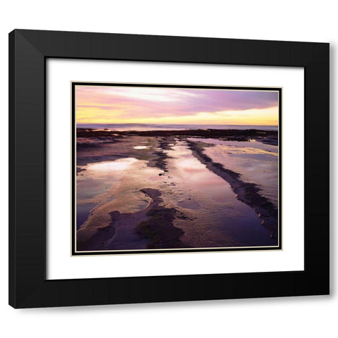 California, San Diego, Sunset Cliffs tide pools Black Modern Wood Framed Art Print with Double Matting by Talbot Frank, Christopher