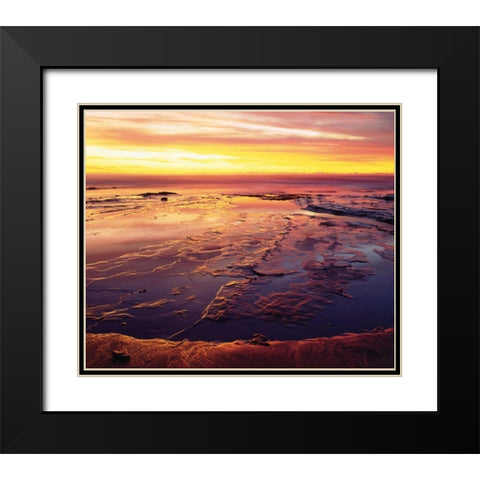 California, San Diego, Sunset Cliffs tide pools Black Modern Wood Framed Art Print with Double Matting by Talbot Frank, Christopher