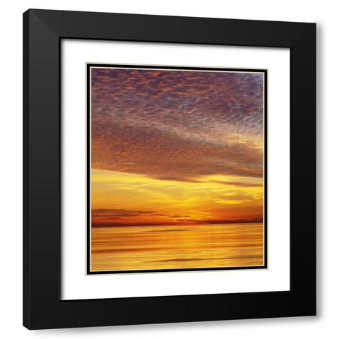 CA, San Diego Sunset Cliffs by the ocean,sunset Black Modern Wood Framed Art Print with Double Matting by Talbot Frank, Christopher