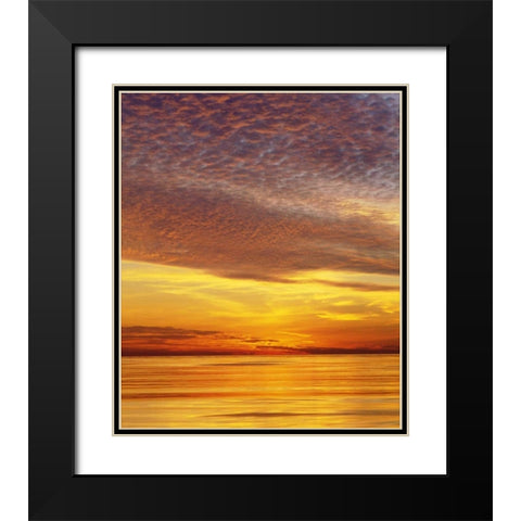 CA, San Diego Sunset Cliffs by the ocean,sunset Black Modern Wood Framed Art Print with Double Matting by Talbot Frank, Christopher