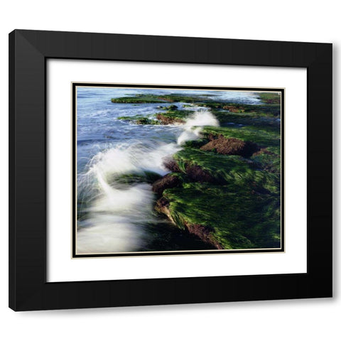 CA, San Diego Waves breaking on tide pools Black Modern Wood Framed Art Print with Double Matting by Talbot Frank, Christopher