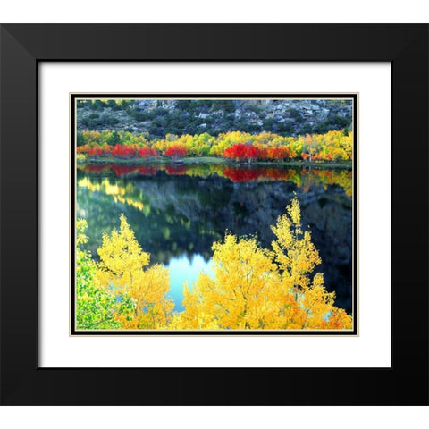 CA, Sierra Nevada, Autumn at Grant Lake Black Modern Wood Framed Art Print with Double Matting by Talbot Frank, Christopher