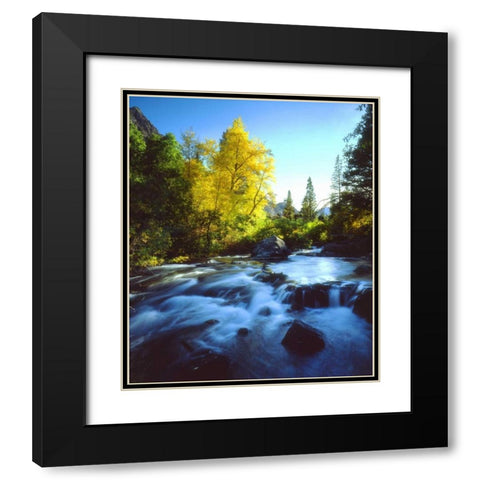 CA, Sierra Nevada, Autumn along a stream Black Modern Wood Framed Art Print with Double Matting by Talbot Frank, Christopher