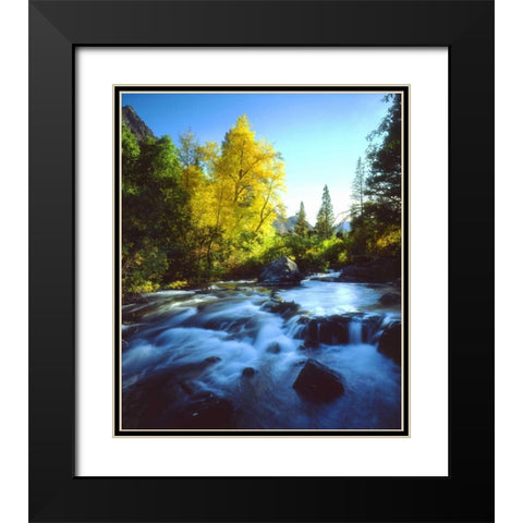CA, Sierra Nevada, Autumn along a stream Black Modern Wood Framed Art Print with Double Matting by Talbot Frank, Christopher
