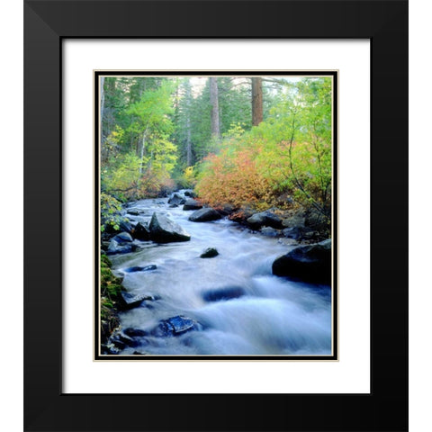 CA, Sierra Nevada, Autumn at Lee Vining Creek Black Modern Wood Framed Art Print with Double Matting by Talbot Frank, Christopher