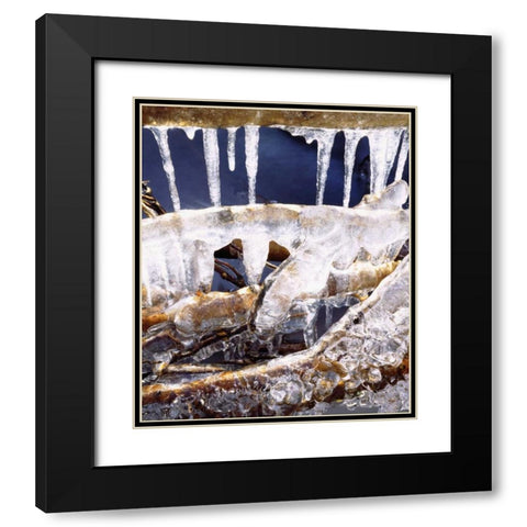 California, Sierra Nevada, Icicles in the Sierra Black Modern Wood Framed Art Print with Double Matting by Talbot Frank, Christopher