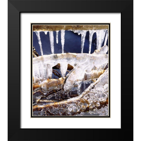 California, Sierra Nevada, Icicles in the Sierra Black Modern Wood Framed Art Print with Double Matting by Talbot Frank, Christopher