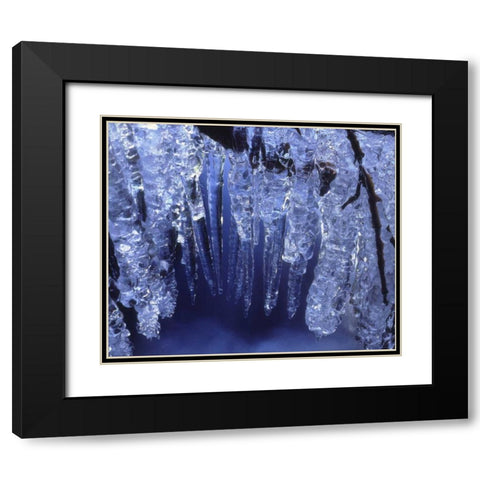 California, Sierra Nevada, Icicles in the Sierra Black Modern Wood Framed Art Print with Double Matting by Talbot Frank, Christopher