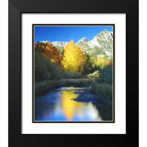 CA, Sierra Nevada Autumn along Bishop Creek Black Modern Wood Framed Art Print with Double Matting by Talbot Frank, Christopher