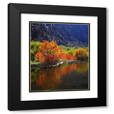California, Autumn in the Sierra Nevada Mts Black Modern Wood Framed Art Print with Double Matting by Talbot Frank, Christopher