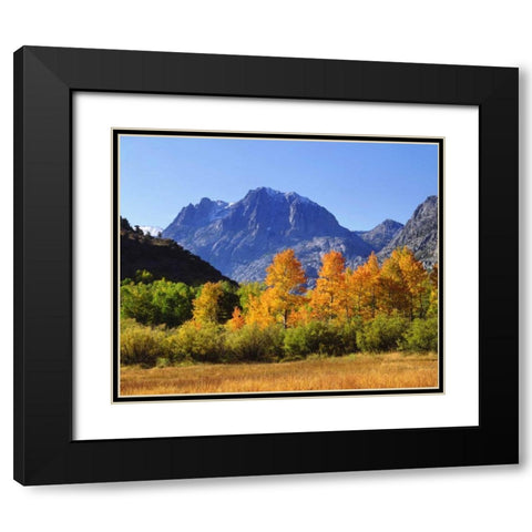 California, Autumn in the Sierra Nevada Mts Black Modern Wood Framed Art Print with Double Matting by Talbot Frank, Christopher