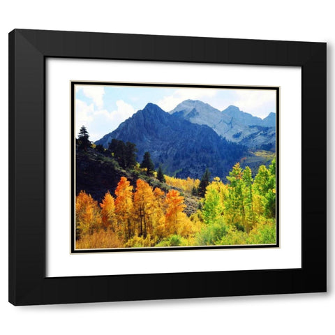CA, Sierra Nevada Fall colors of aspen trees Black Modern Wood Framed Art Print with Double Matting by Talbot Frank, Christopher