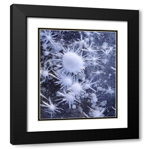 CA, Sierra Nevada Ice crystals in the Sierra Black Modern Wood Framed Art Print with Double Matting by Talbot Frank, Christopher