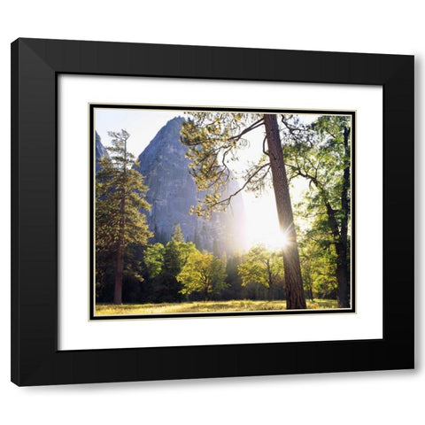 California, Yosemite Sunset through the forest Black Modern Wood Framed Art Print with Double Matting by Talbot Frank, Christopher