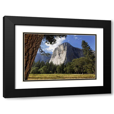 California, Yosemite View of El Capitan landmark Black Modern Wood Framed Art Print with Double Matting by Flaherty, Dennis