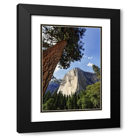 California, Yosemite View of El Capitan landmark Black Modern Wood Framed Art Print with Double Matting by Flaherty, Dennis