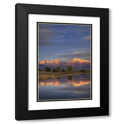 California, Bishop Sierra Mts from Farmers Pond Black Modern Wood Framed Art Print with Double Matting by Flaherty, Dennis