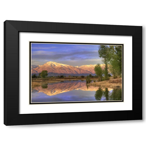 CA, Bishop Reflection of Mt Tom in Farmers Pond Black Modern Wood Framed Art Print with Double Matting by Flaherty, Dennis