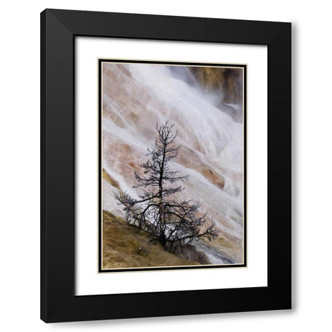 Wyoming Mammoth Hot Springs waterfall Black Modern Wood Framed Art Print with Double Matting by Bush, Marie