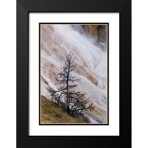 Wyoming Mammoth Hot Springs waterfall Black Modern Wood Framed Art Print with Double Matting by Bush, Marie